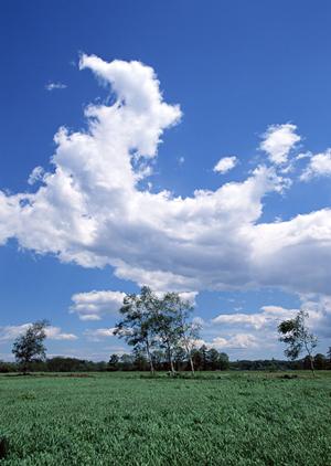 静岡県掛川市にある安心の葬儀サービス【富士葬祭 掛川】の特徴と詳細情報