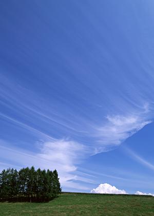 静岡市で信頼の葬儀サービス【富士葬祭 材木町】?安心と心温まるお見送りをサポート